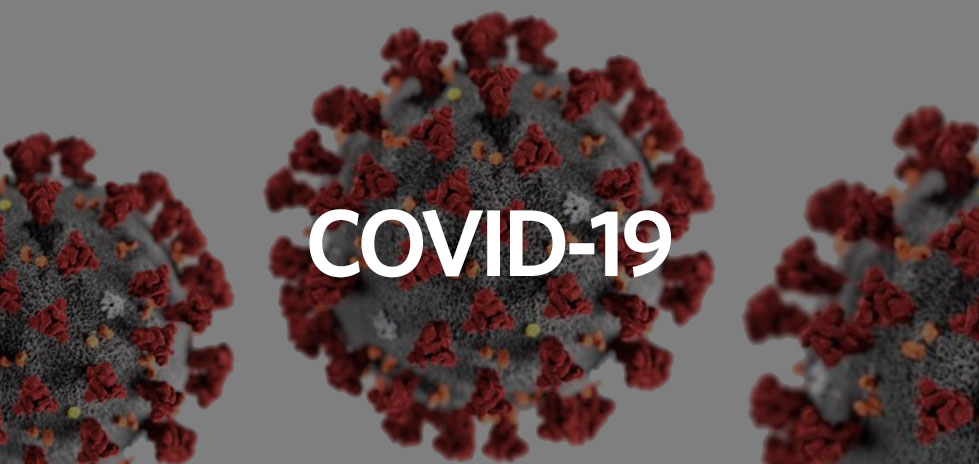 COVID-19 virus ball