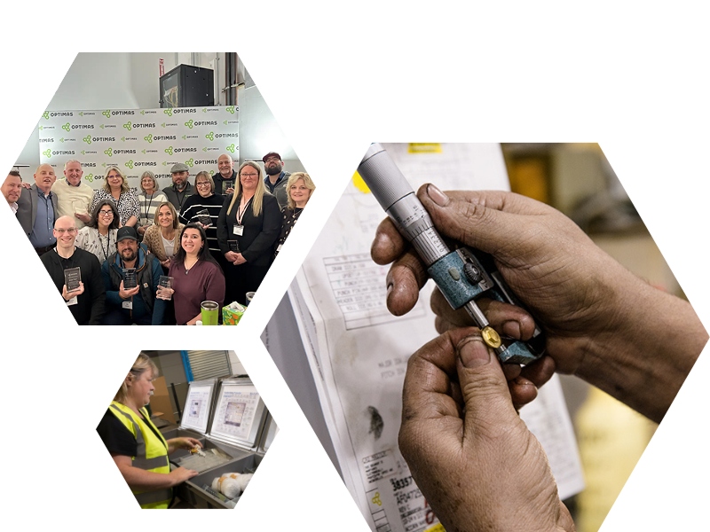 Collage of group photo of professional, zoomed tools and female worker working